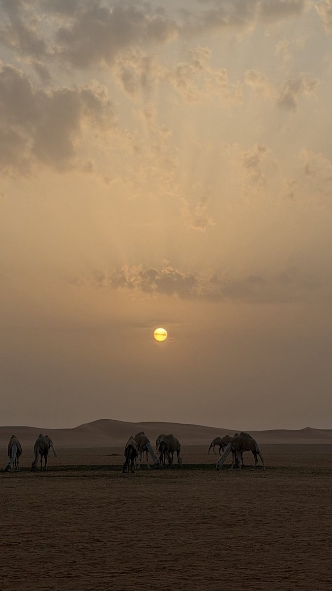 qyp_9's tweet photo. "يوم التروية"
نسأل الله أن يروي قلوبنا بالعفو والغفران، والرضا والسكينة، ويغيثنا بالخير والجبر، والبشائر التي ننتظر🤍 https://t.co/7R9AgMRoM2