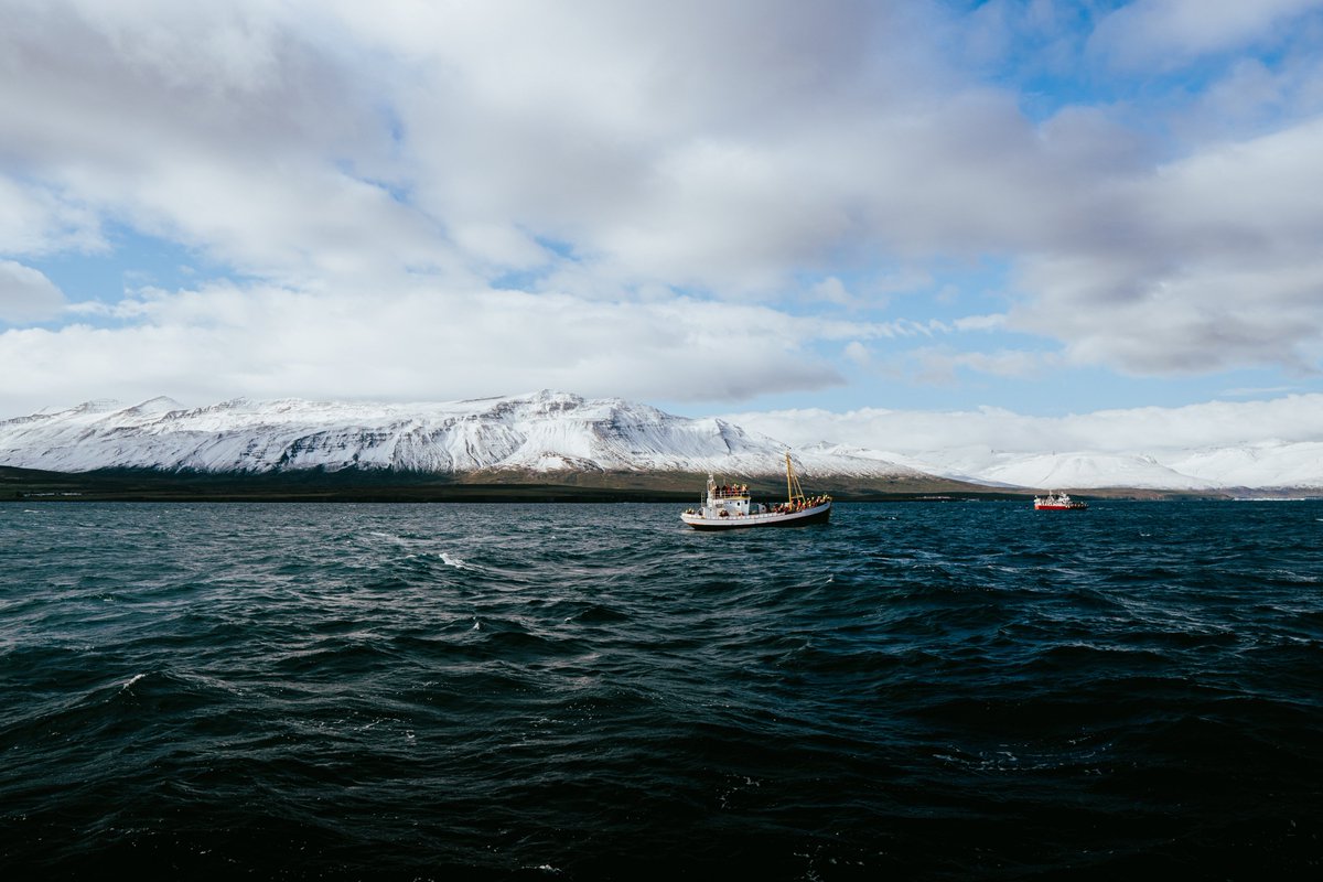 Canadian Aquaculture Industry Alliance (CAIA) tweet media