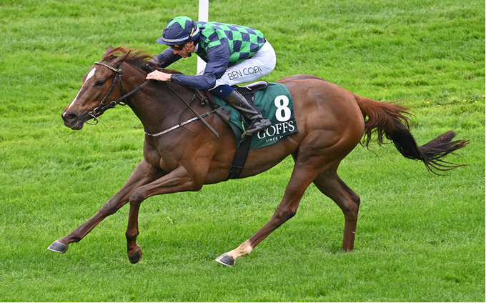 BallylinchStud tweet media