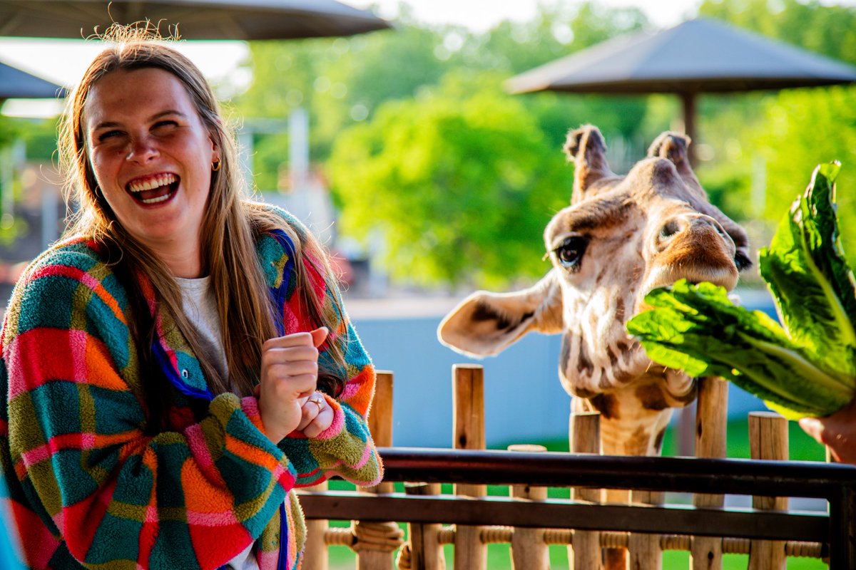 TulsaZoo's tweet photo. 🦒 Giraffe feedings are available for purchase today from 11 a.m. - 1 p.m.

🦭 Keeper chats take place throughout the day. View the full schedule and plan your visit at https://t.co/66kgEGeUFp. https://t.co/waGZ0cuzL0
