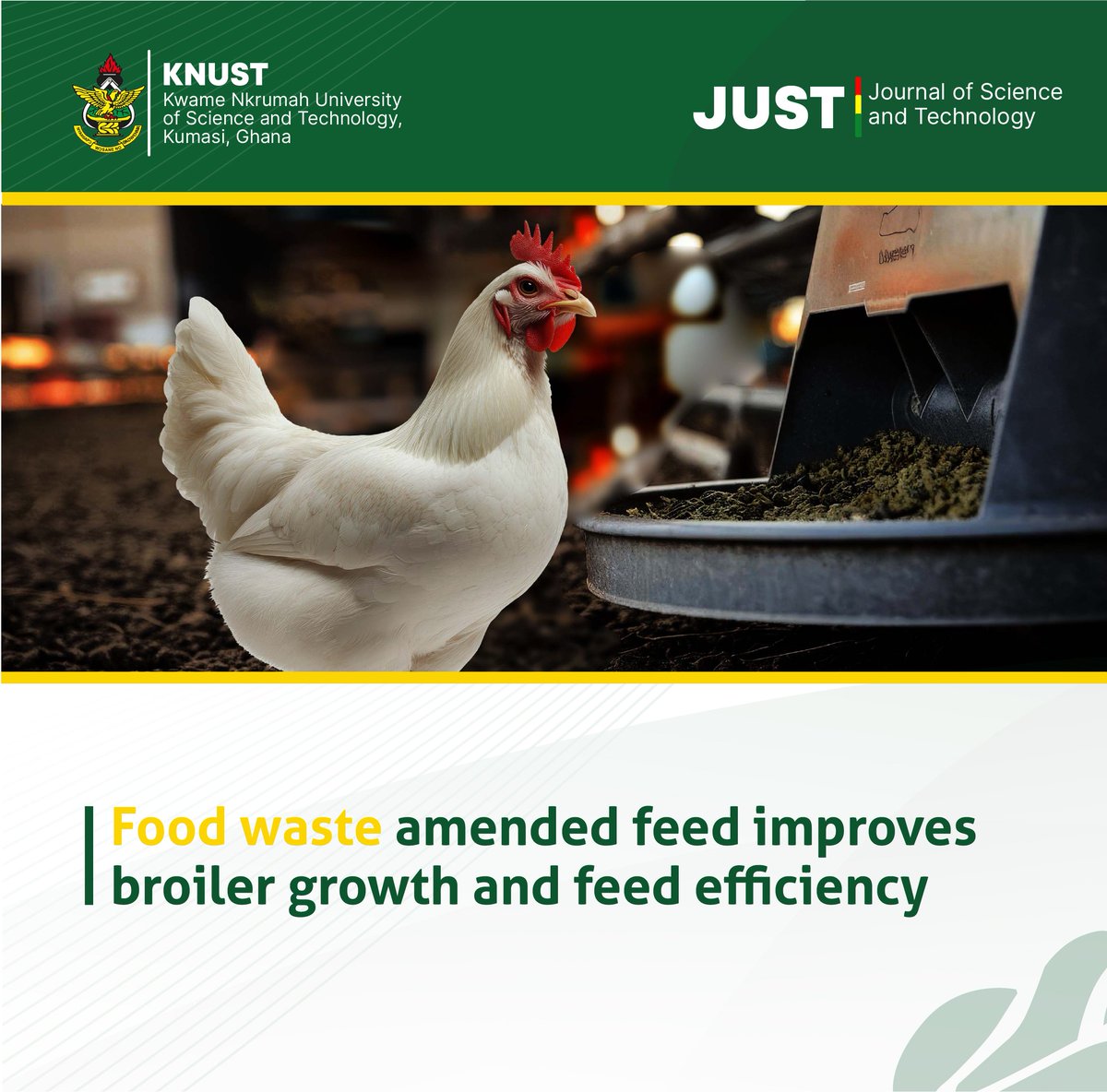 KNUSTJournal's tweet photo. This study demonstrated that the most effective maize-based diet for broiler production was food waste-amended feed, which produced good body weight and was easily digested by broilers, with a better feed conversion ratio.

Read more:
AJOL: https://t.co/xCH9jUIlAX
#broilerfeed https://t.co/fiwXusXl9C