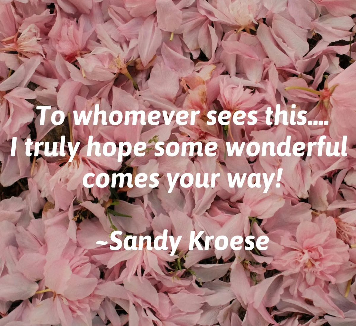 TSbySandy's tweet photo. https://t.co/08rISzJqAR