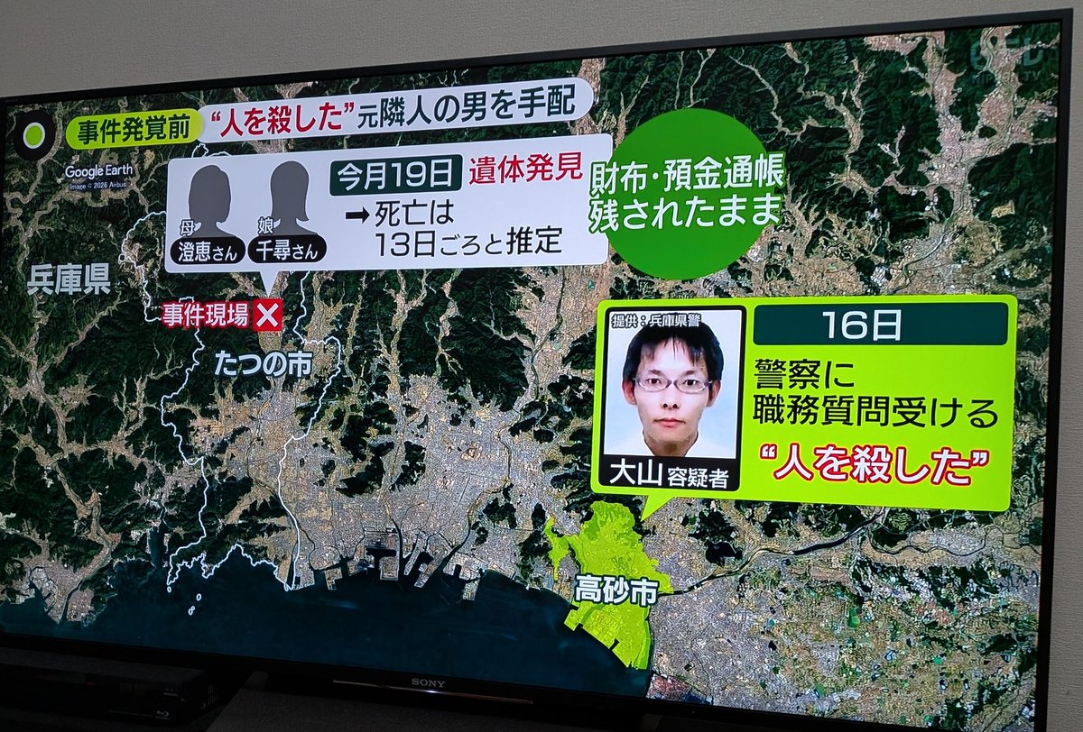 オットー🐬♂️ tweet media