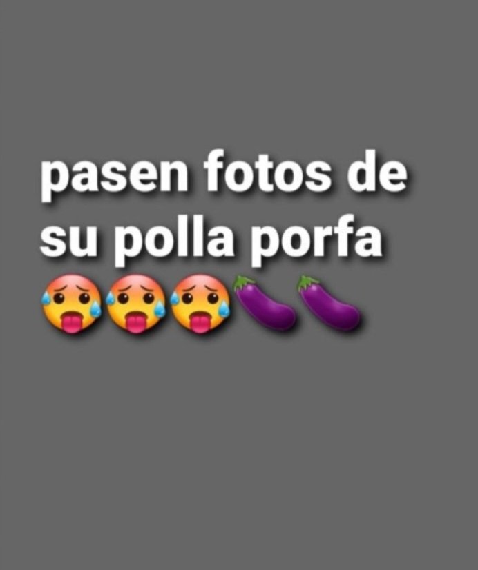 Chelitto tweet media