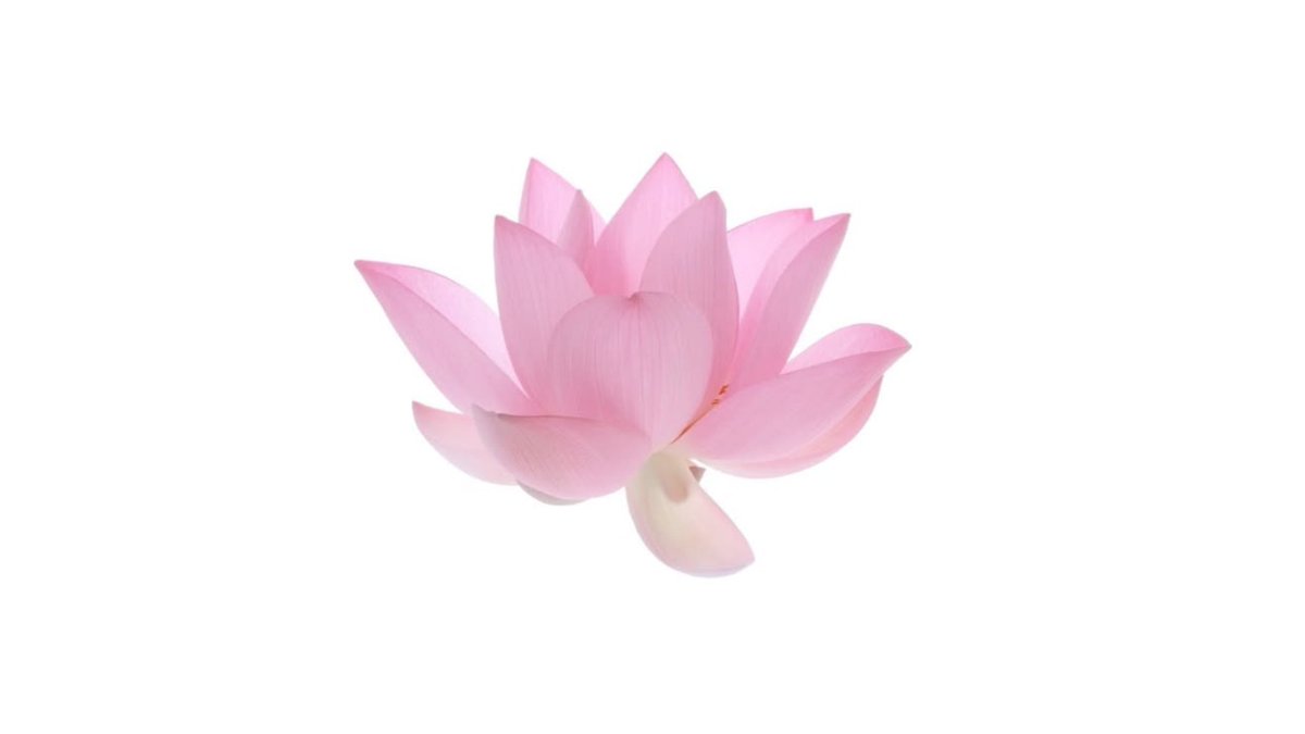 illit_yx's tweet photo. #illit (  moka pink 🎀  ) ɞ⋆ﾟ˖ ࣪ ⭑ https://t.co/MRinKPCAbe