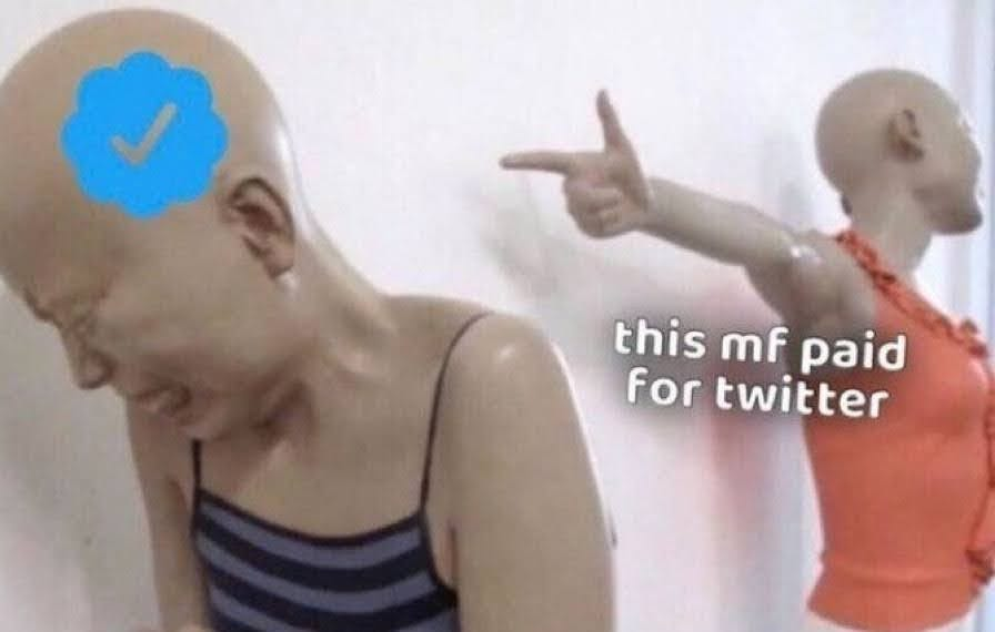 Ethan G. - Ethnomesh tweet media