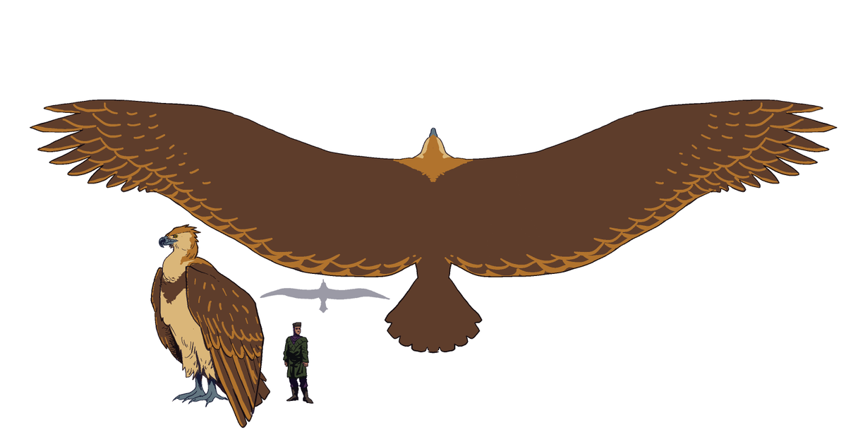Lobatus | COMMS OPEN tweet media