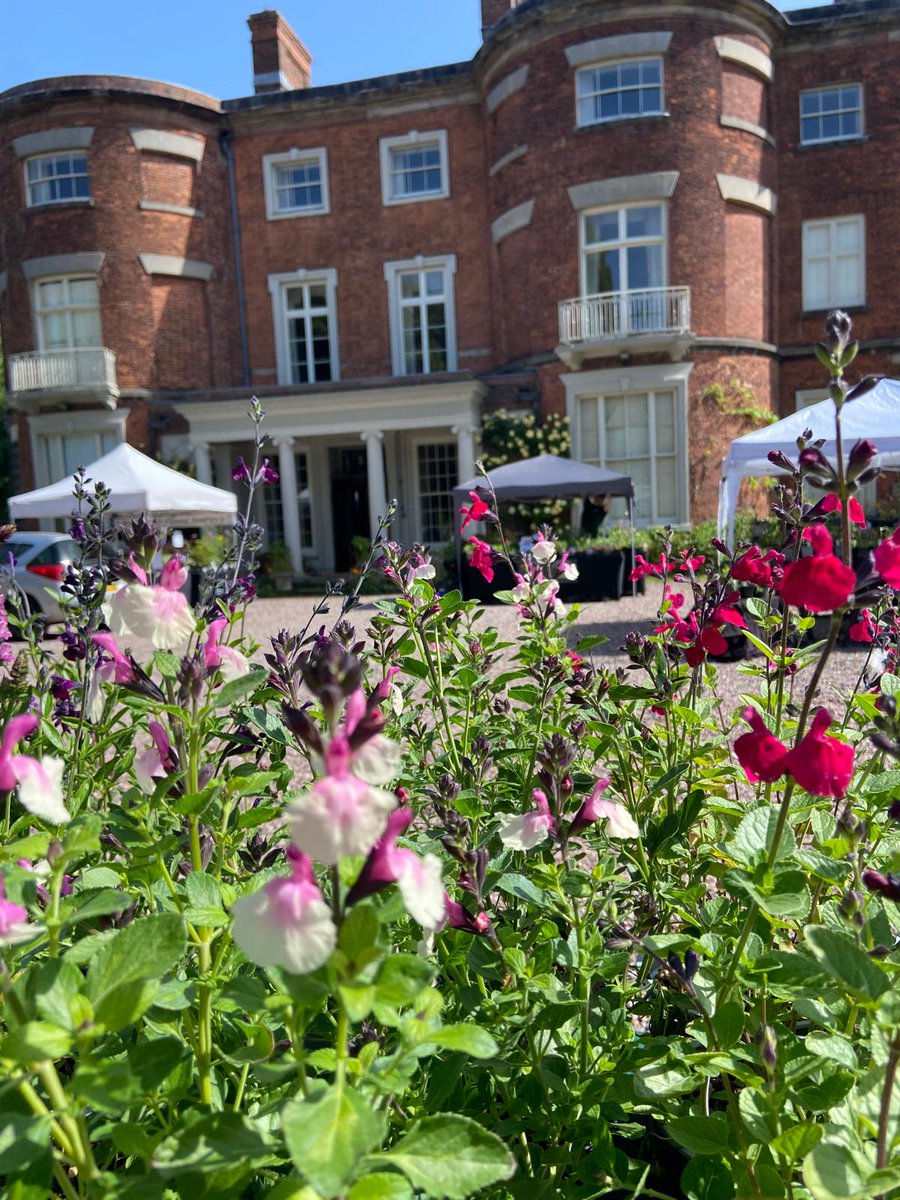 flowerpowerfair's tweet photo. We're ready to open the gates in 10 minutes' time and it's already hot!

Just look at some of these stunning plant stalls at @Rode_Hall Specialist Plant Fair.

Last entry: 3.30pm.

Please remember cash because not all stallholders take card payments.

SatNav Postcode: ST7 3QP https://t.co/Mp6CNQG88l