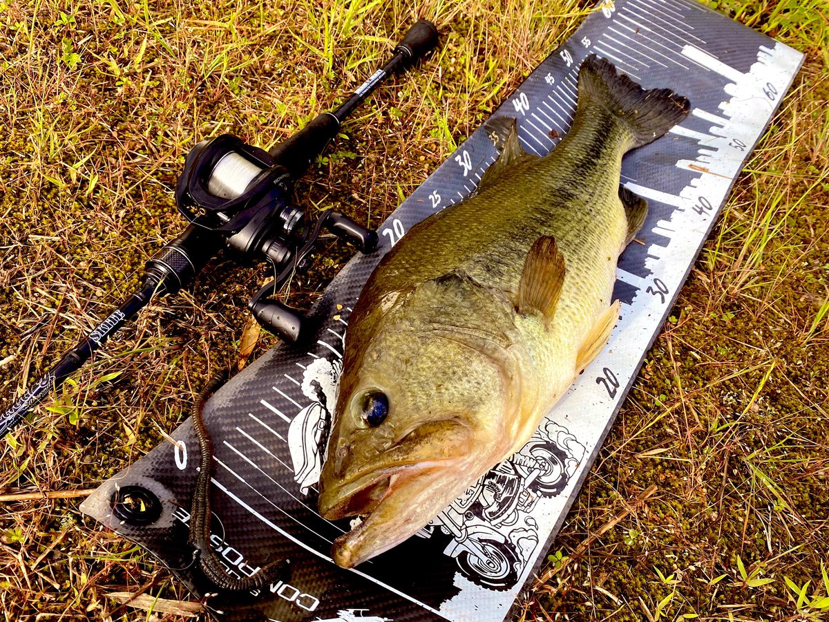 turi_bocco's tweet photo. 野池サイト

これは反則級🔥

#バス釣り
#bassfishing
#ドランクレイジー https://t.co/AFlkW3rt7s