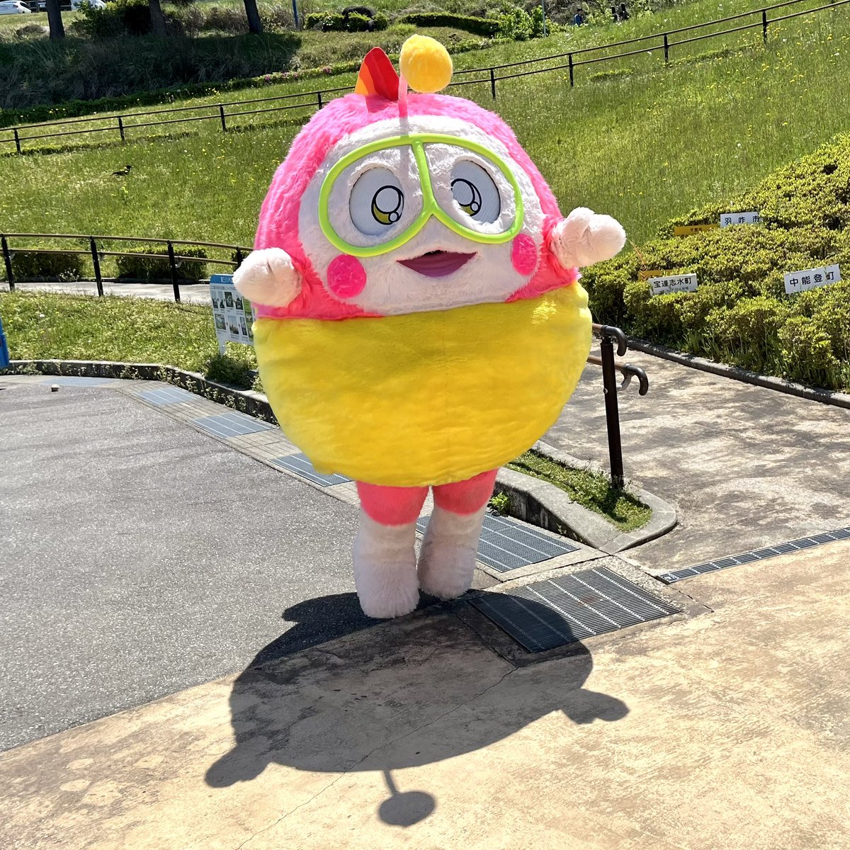 pukumaru2929 前回好評いただいてまたまたのとじま水族館さんに上陸