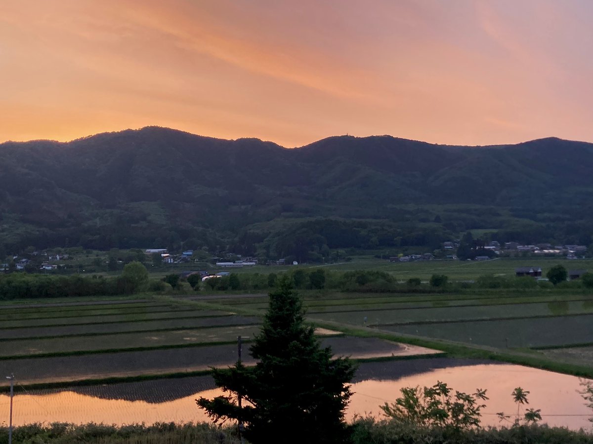 遠野市立博物館 tweet media