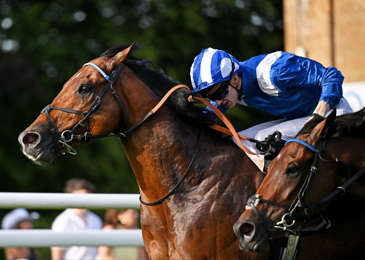 Shadwell_EU's tweet photo. 🥇#ALMERAQ 🤝 Listed @BritishEBF Cathedral Stakes 

It was great to see him back on the track in style after a frightening incident at York last season 🙌

Onwards… and upwards⁉️📈 https://t.co/oszRytS99H