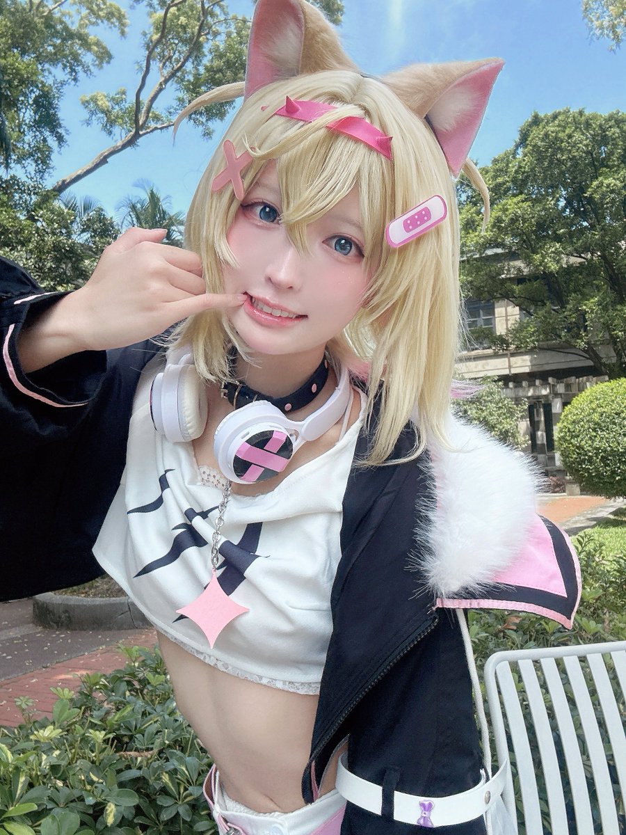🐈猫田 あしゅ🐾 tweet media