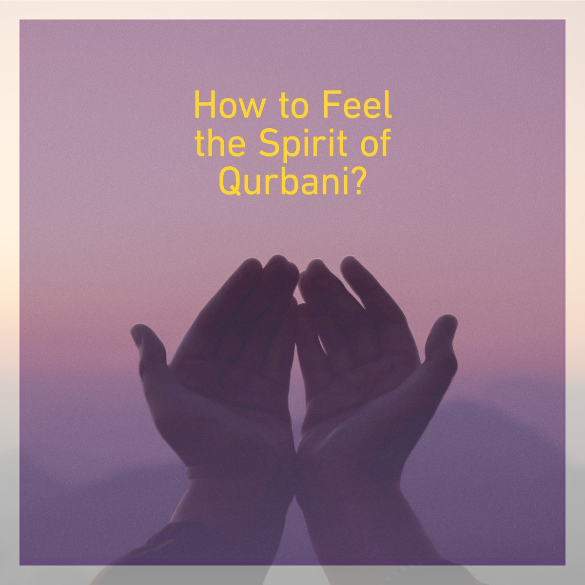 Human Appeal tweet media