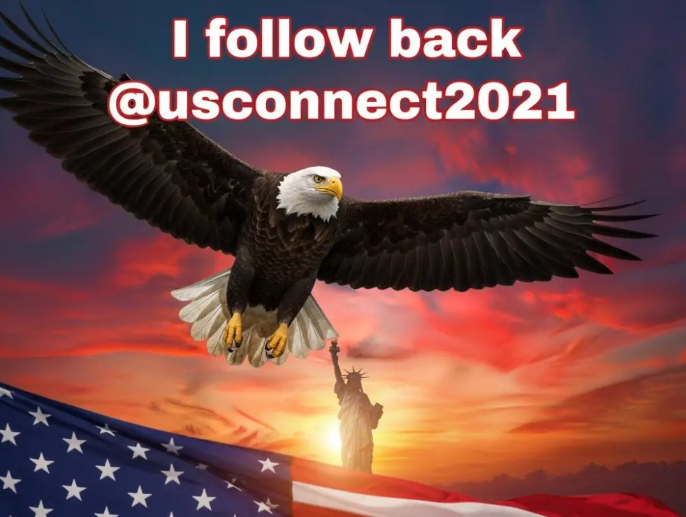 USConnect tweet media