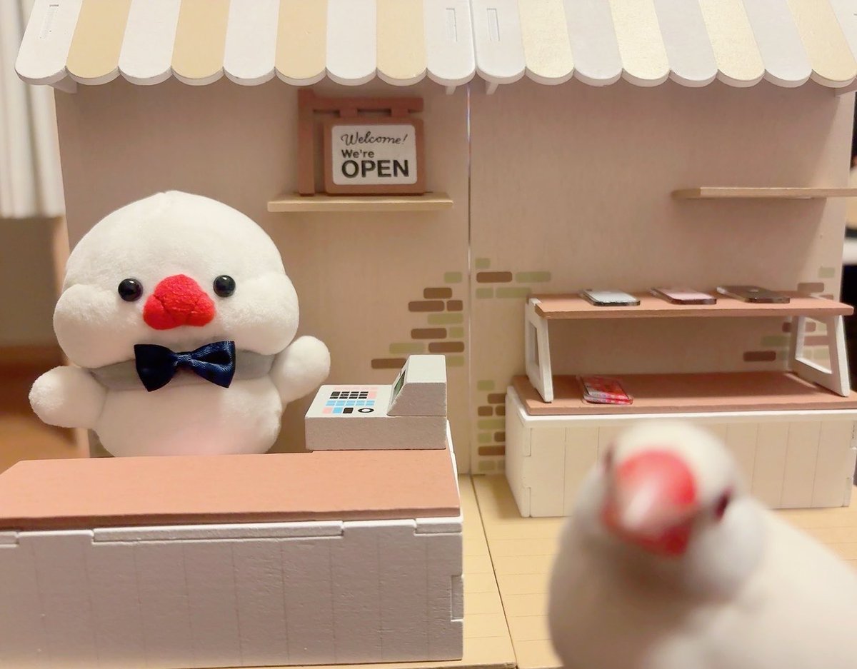 鳥フェス大阪(冬)出展確定しました◝( ´͈ ᗨ `͈ )◜✨PUKUBUN GARDEN