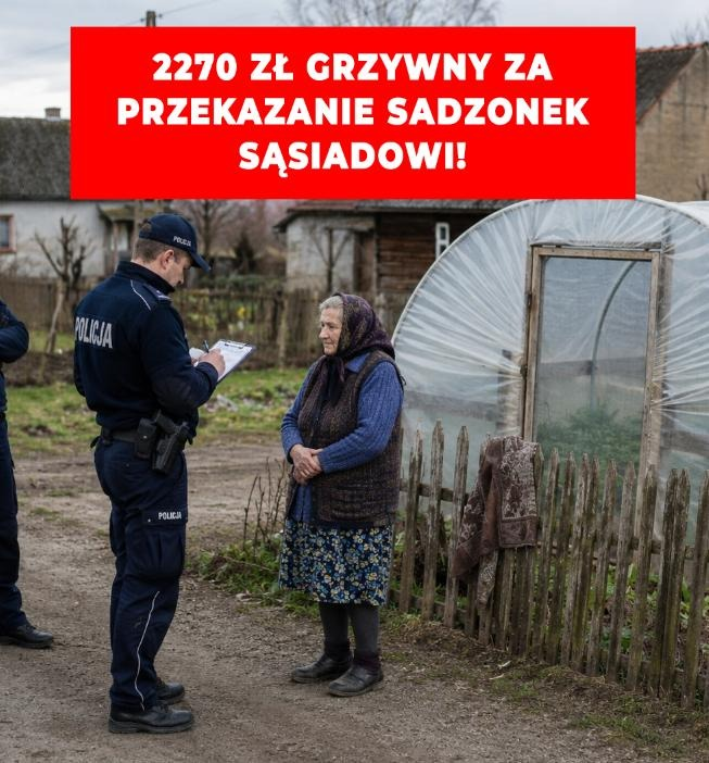 Paweł Usiądek tweet media