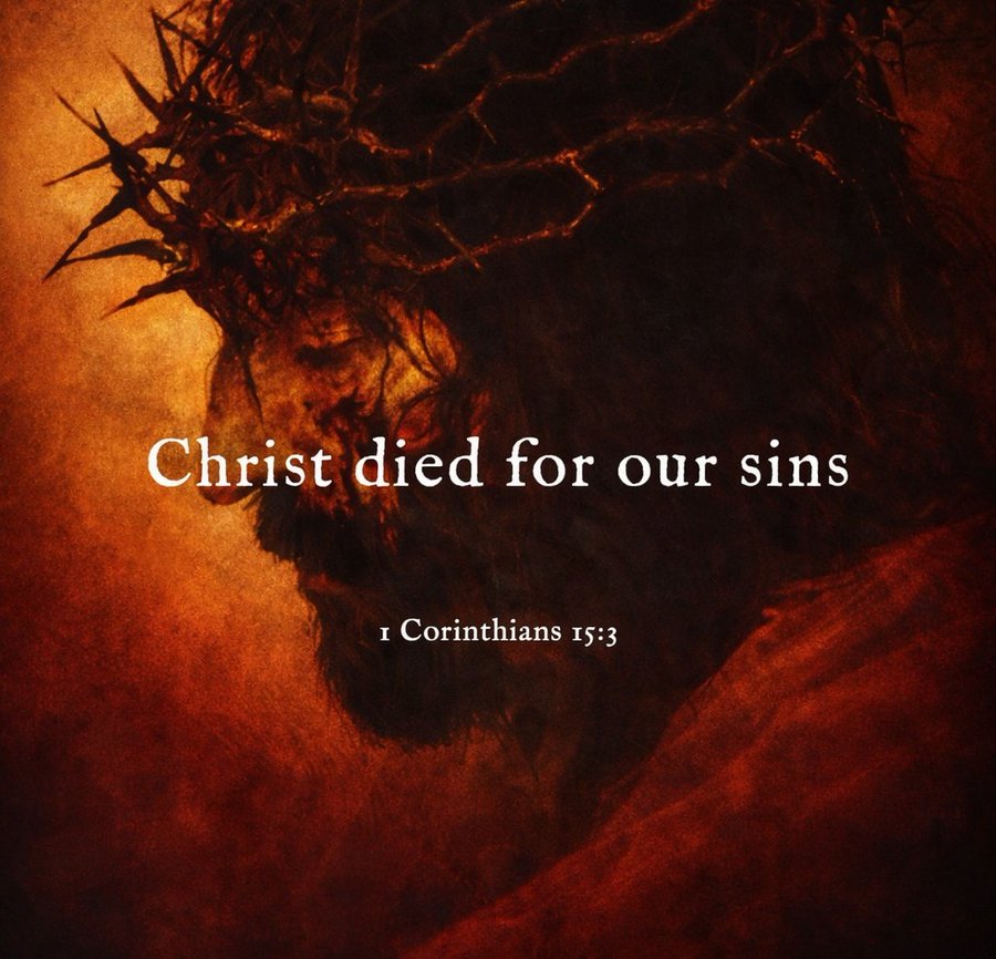 Bible 365 tweet media