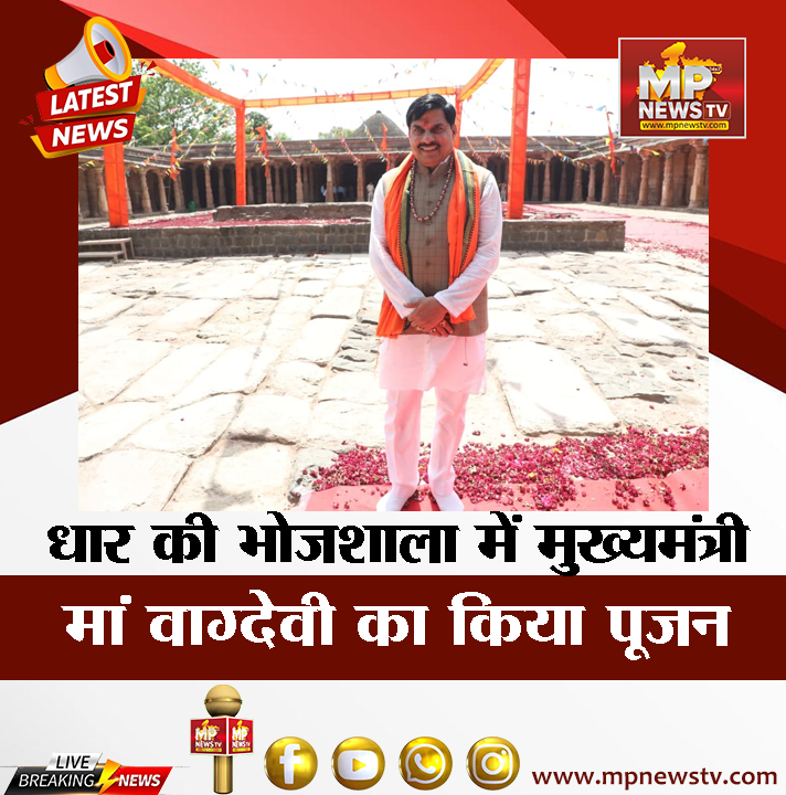 MP News tweet media