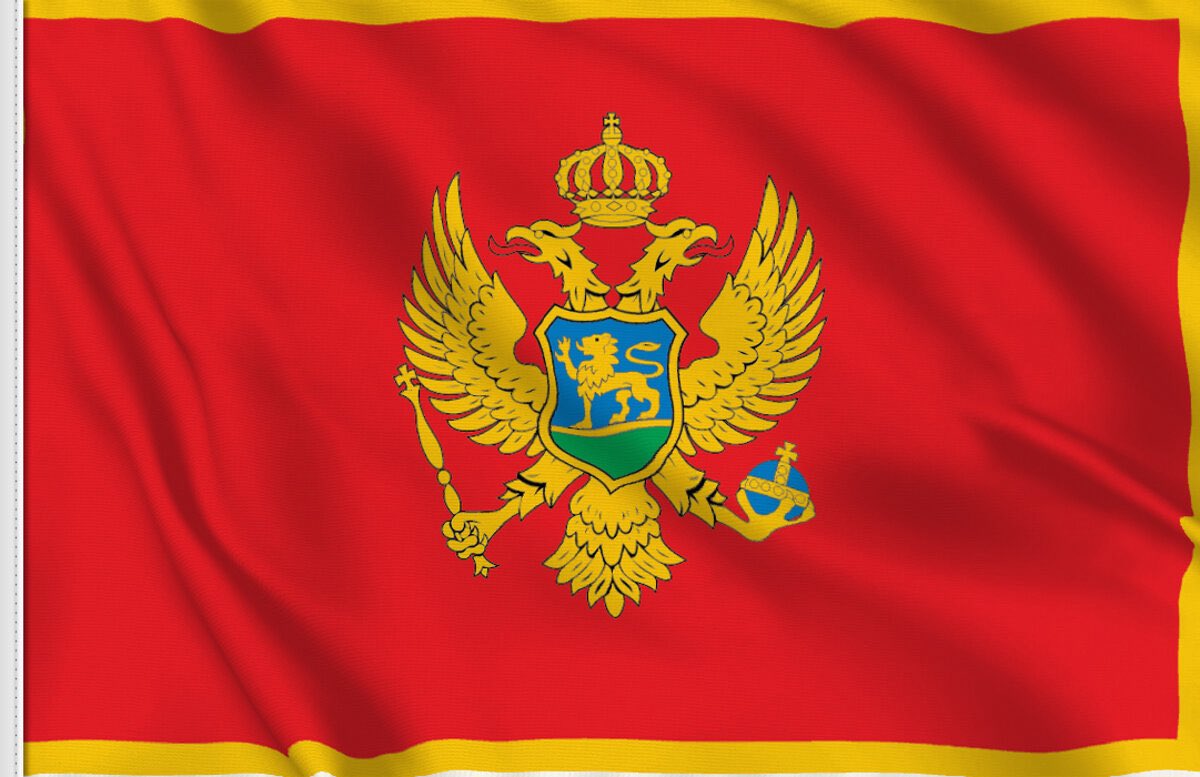 Slavic Networks tweet media