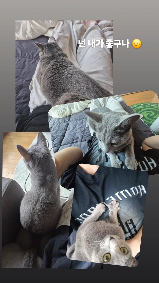 deobimom's tweet photo. #JACOB #제이콥 IG 🍐📸 story

you like me huh 🙂‍↔️ https://t.co/iKSGAqpy8Y