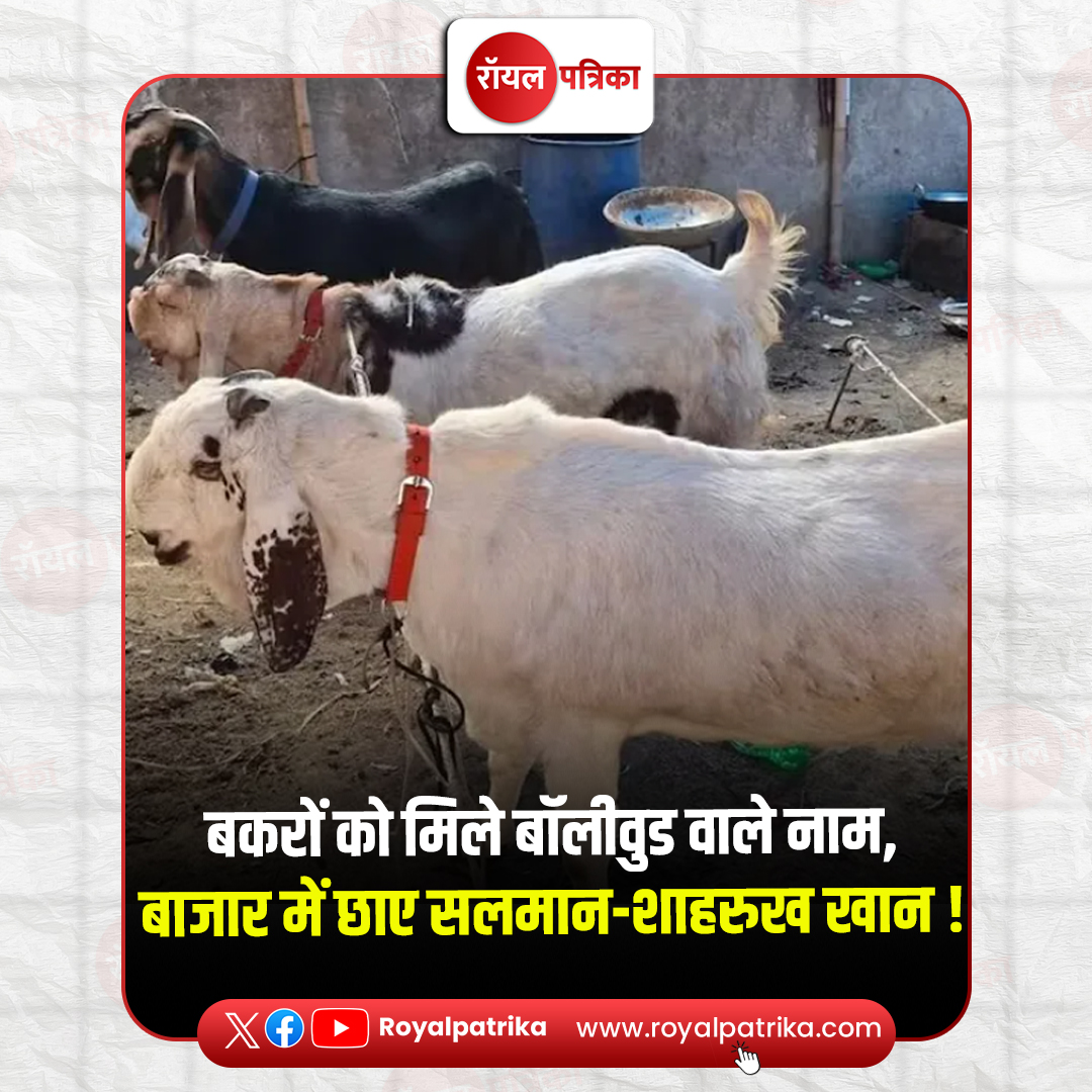 Royal Patrika tweet media