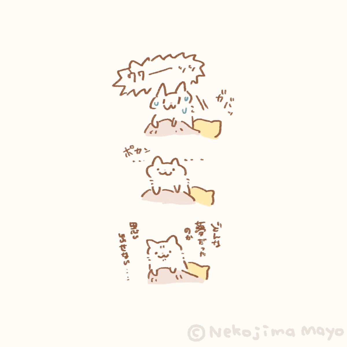 猫島 まよ🐈Nekojima Mayo tweet media