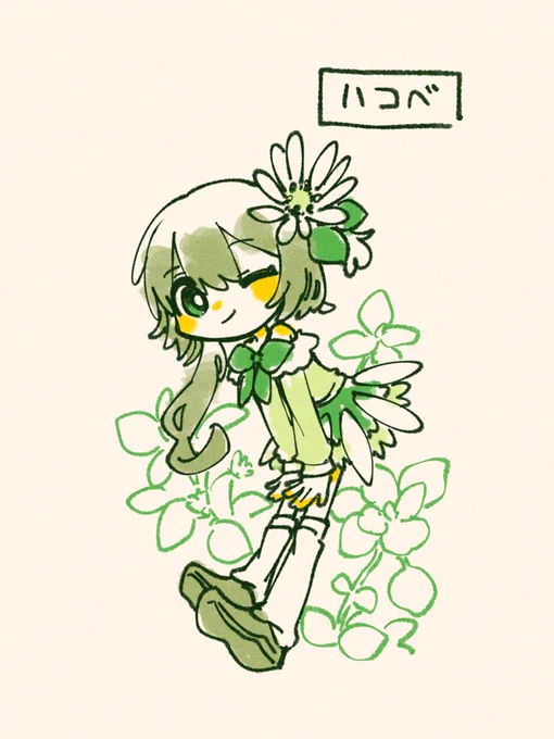 #365日植物イラスト ハコベ
