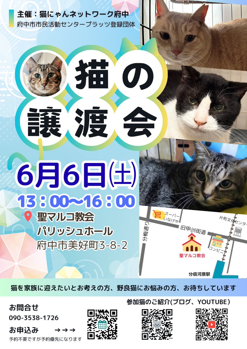NPO法人猫にゃんネットワーク府中 tweet media