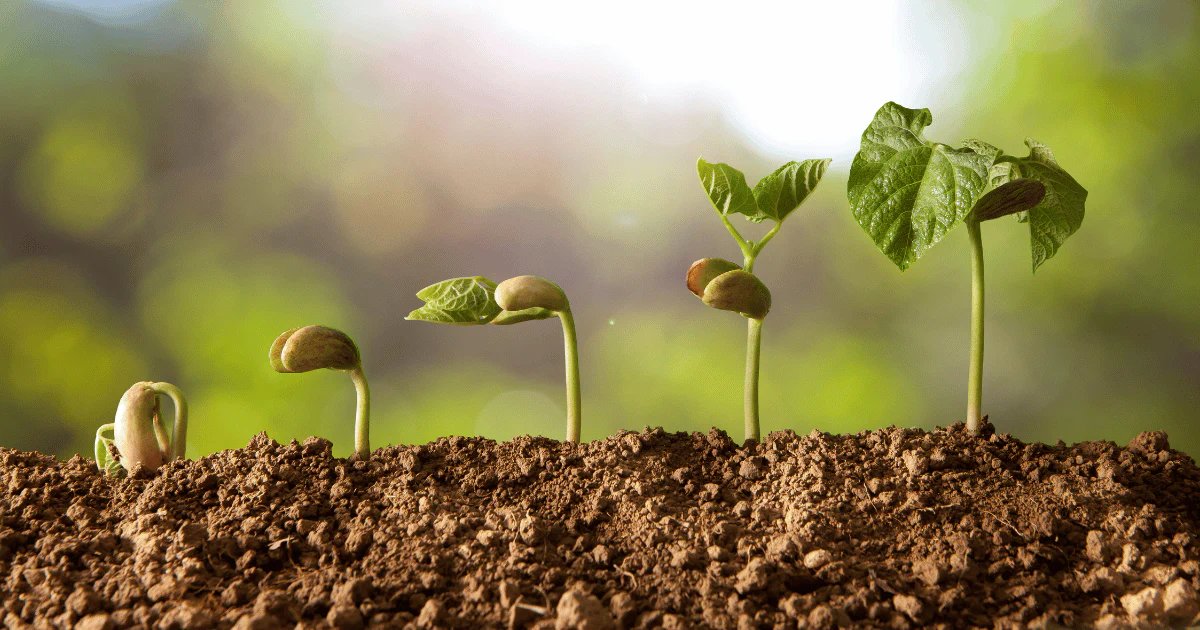 FixelltdK's tweet photo. You don’t need everything figured out to grow.

Progress is built in small consistent steps over time.

Every effort counts. Every day matters.

Keep showing up even when progress feels slow.
https://t.co/rSqxTqiPWq

#MondayMotivation #StayConsistent #Fixel #NairobiKenya https://t.co/4NOZTGFi7O