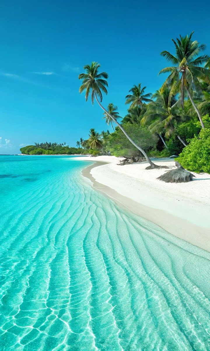 Wondersofworld0's tweet photo. Crystal clear waters in Maldives 🇲🇻 https://t.co/5lksH8fxsi