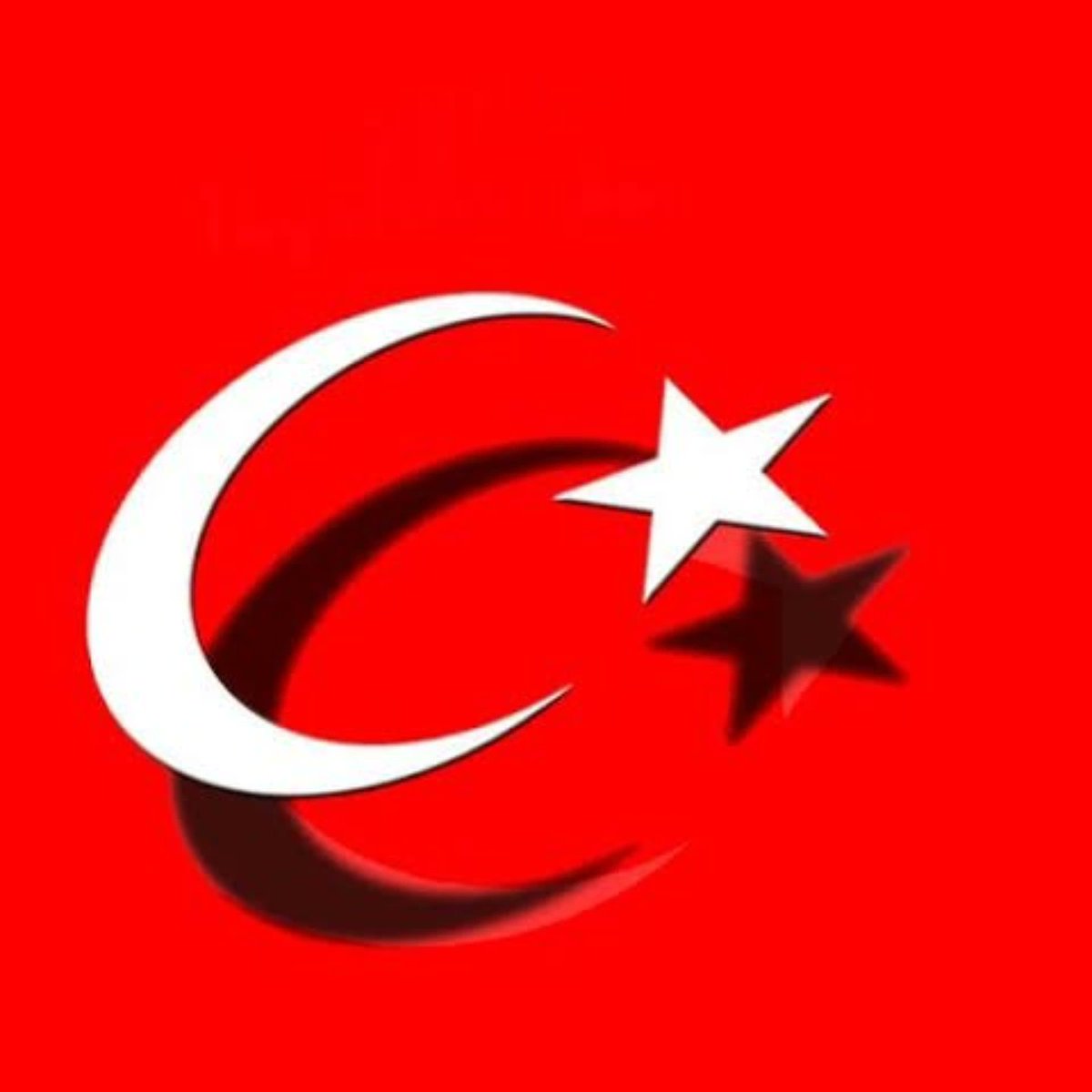 Fatma Satıcı tweet media