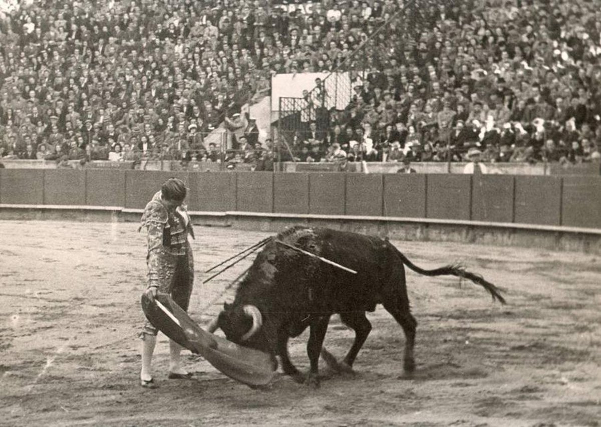 Alamares_largos's tweet photo. Dijo una vez Juan Belmonte

"Llegará un día que un torero toreará a todos los toros” https://t.co/9jK4RfuBsa