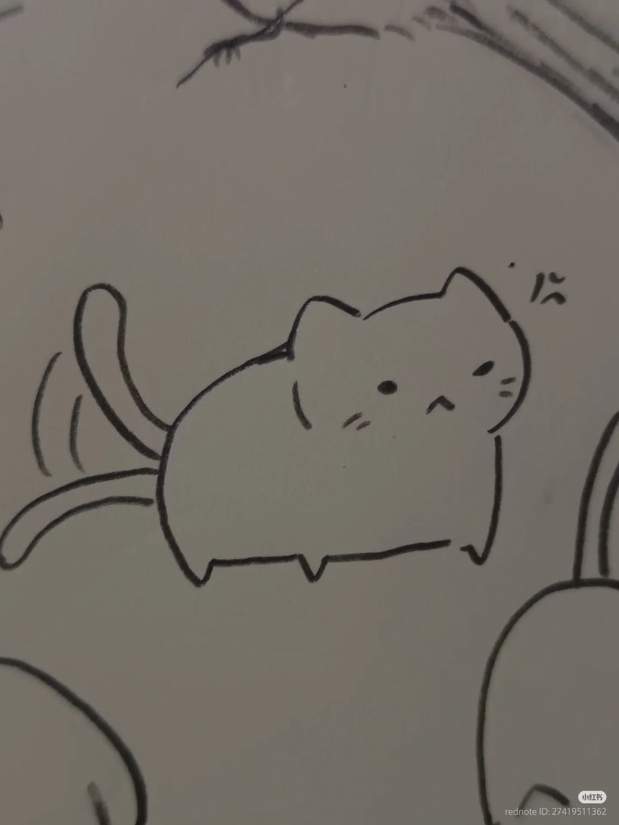 No Context Cats tweet media