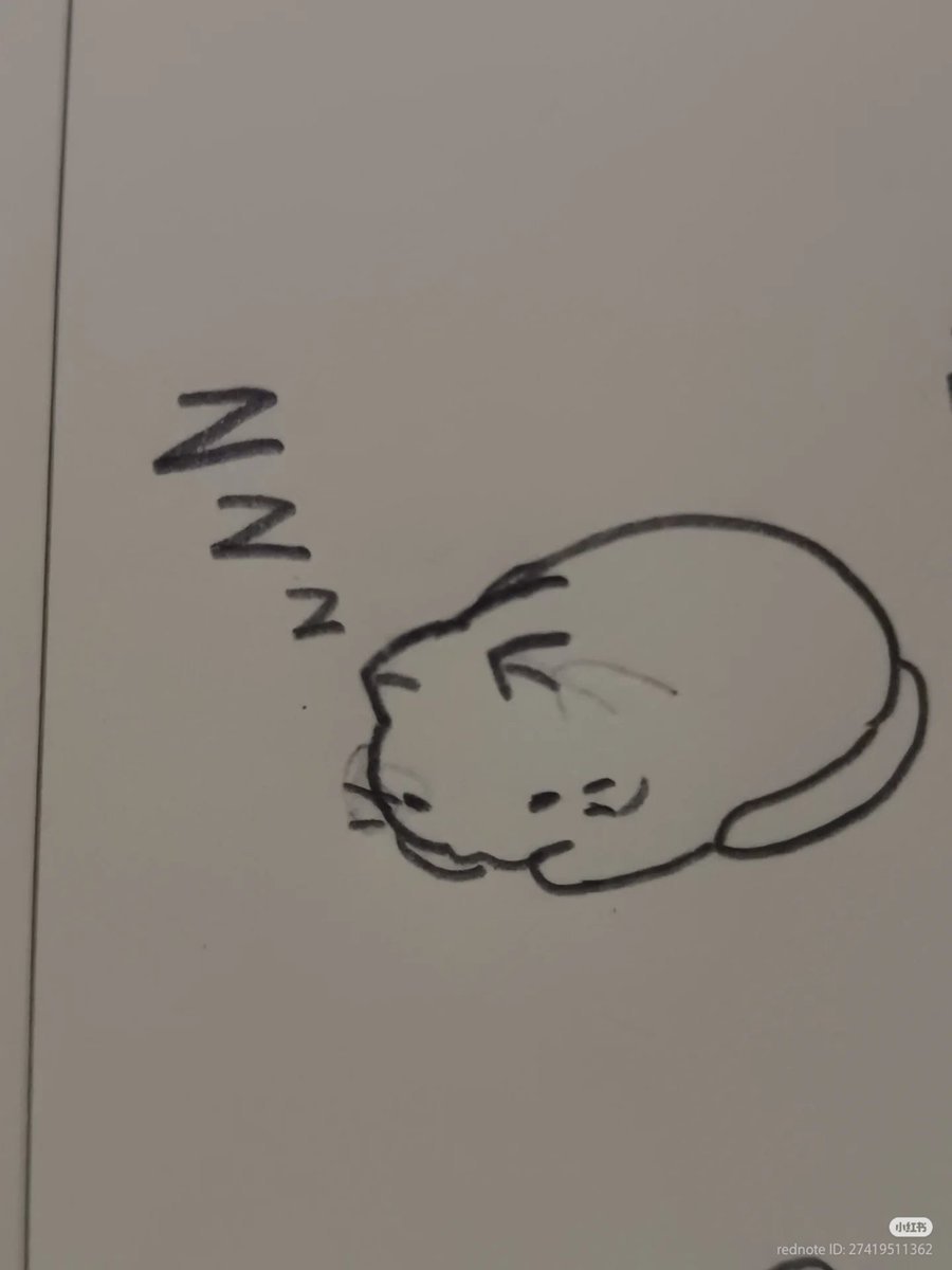 No Context Cats tweet media