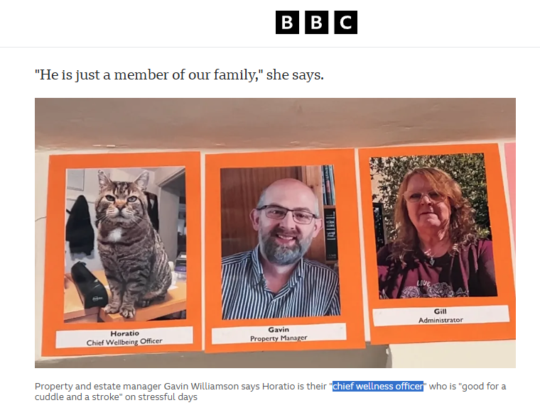 The Nested Loop tweet media