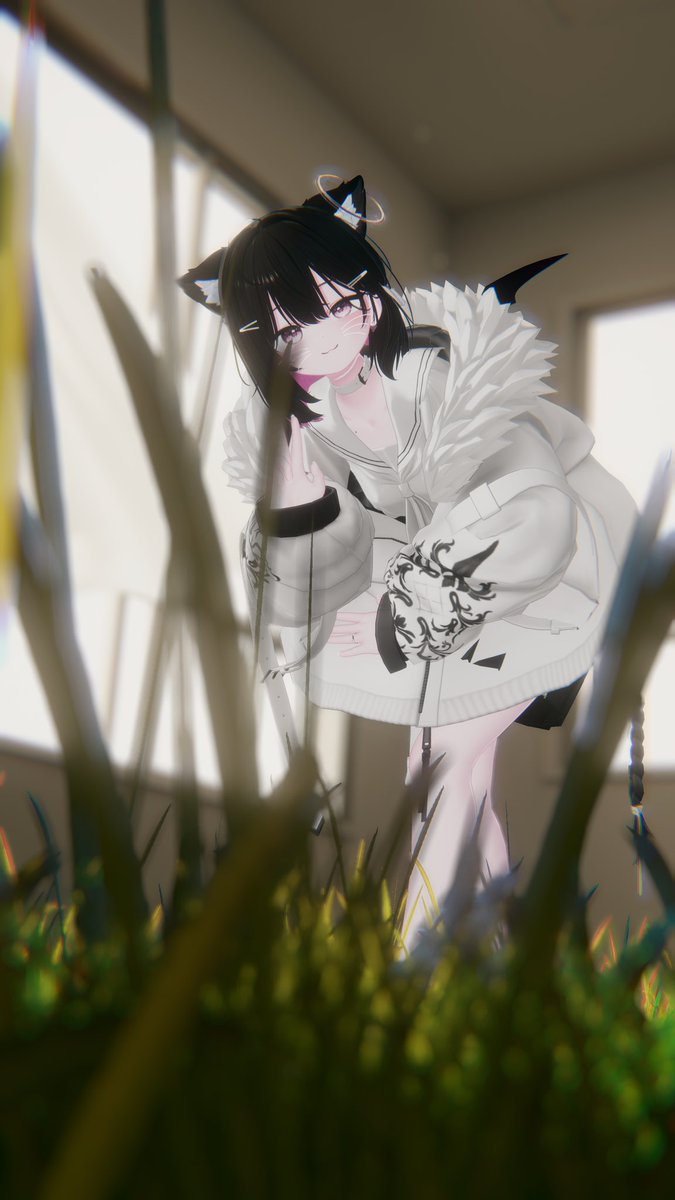 한코 tweet media