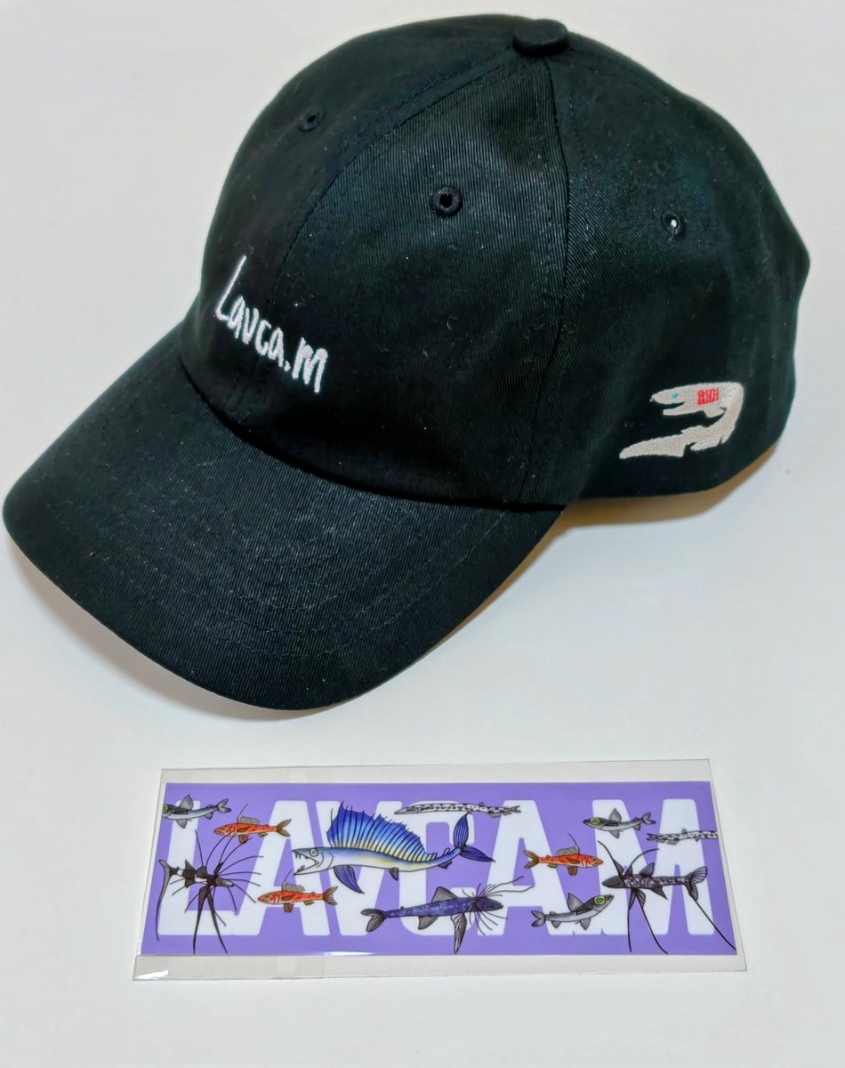 JAM_TURIsuki's tweet photo. #デザフェス戦利品
目的だったお二方
ラブカさんのキャップとステッカー
眞白さんの作品集2  3とステッカー
色々お話させてもらって楽しかったです

どこのブースも楽しかったなー
冬も行こう https://t.co/L8rzhxnaoi