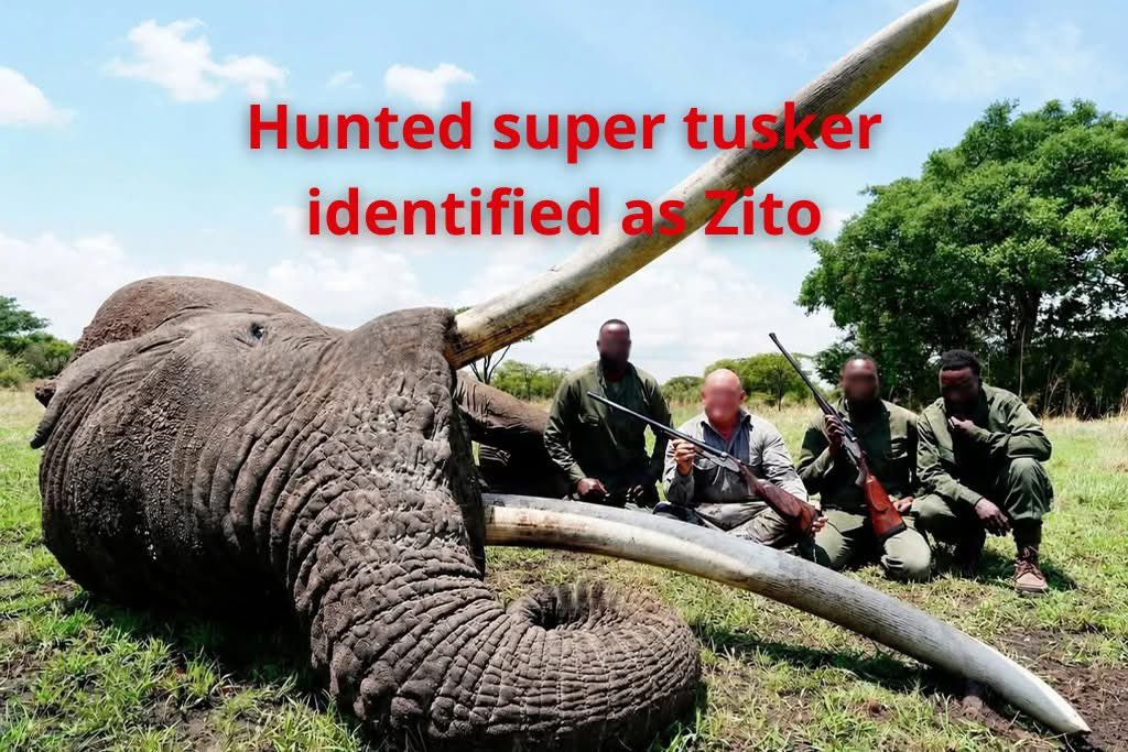 PROTECT ALL WILDLIFE tweet media