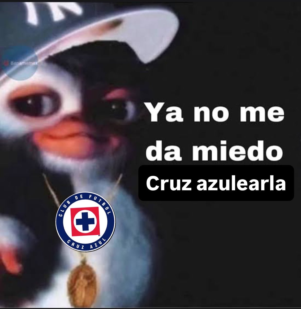 Cruz Azul Irlanda 🇮🇪 tweet media