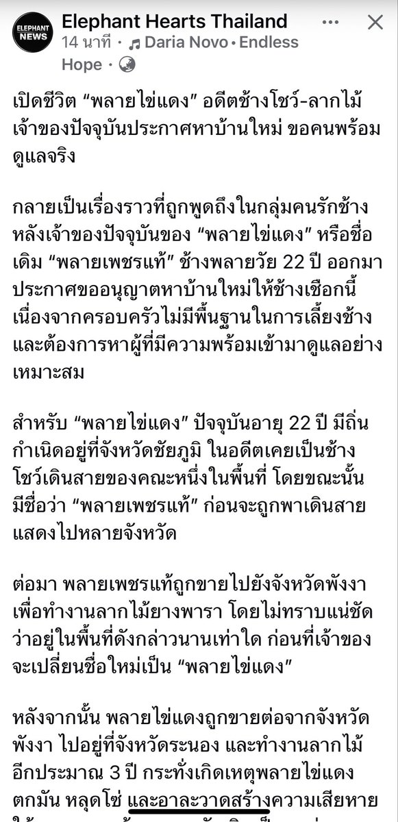 GolfyTT☕ tweet media