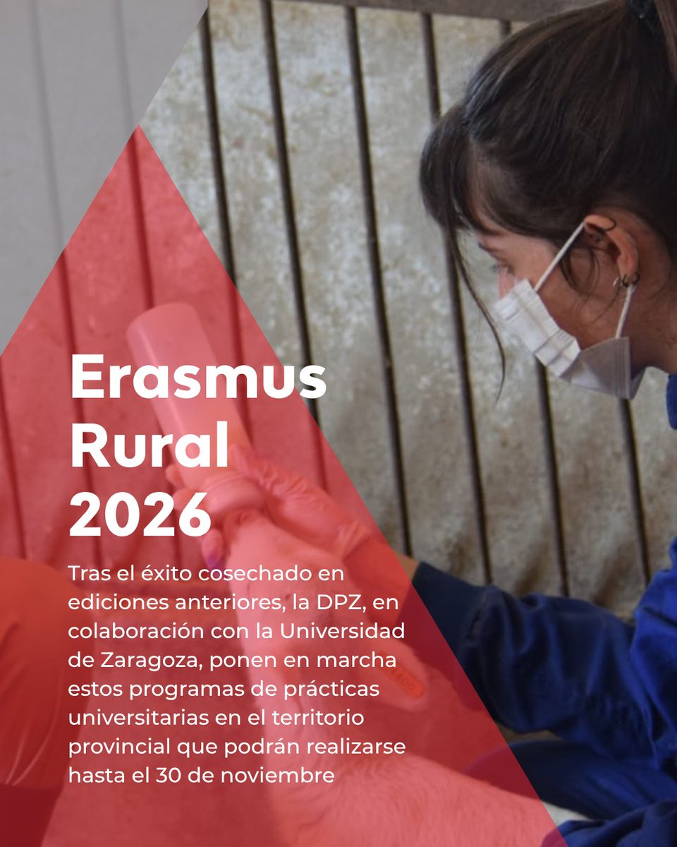 DPZaragoza's tweet photo. 🔺🐑 La @DPZaragoza y la @unizar ponen en marcha la IX edición de las prácticas de su  𝐄𝐫𝐚𝐬𝐦𝐮𝐬 𝐫𝐮𝐫𝐚𝐥

📆 Estos programas de prácticas universitarias en el territorio provincial podrán realizarse hasta el 30 de noviembre

ℹ https://t.co/uukeSw6D1R https://t.co/Tgh2VyitCr