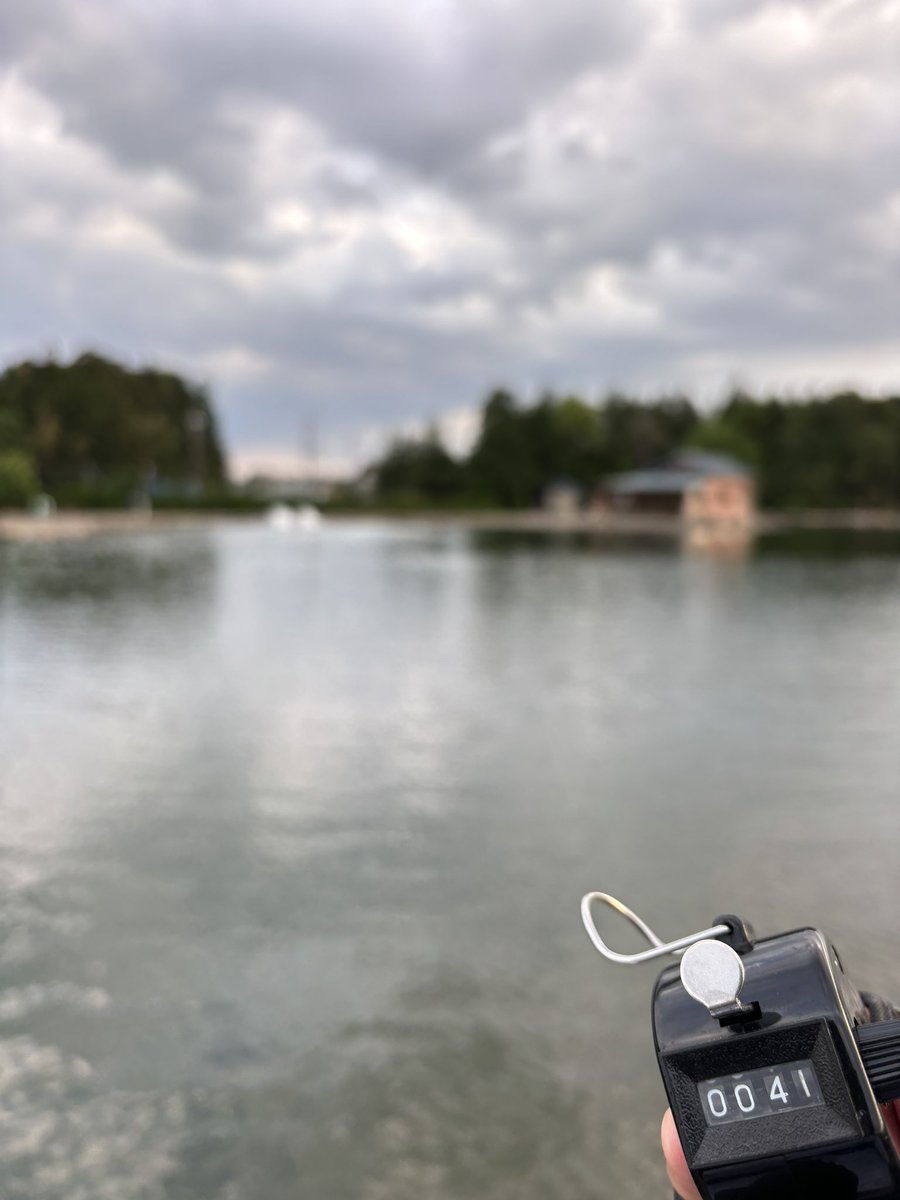 浅煎りあまつぶ tweet media