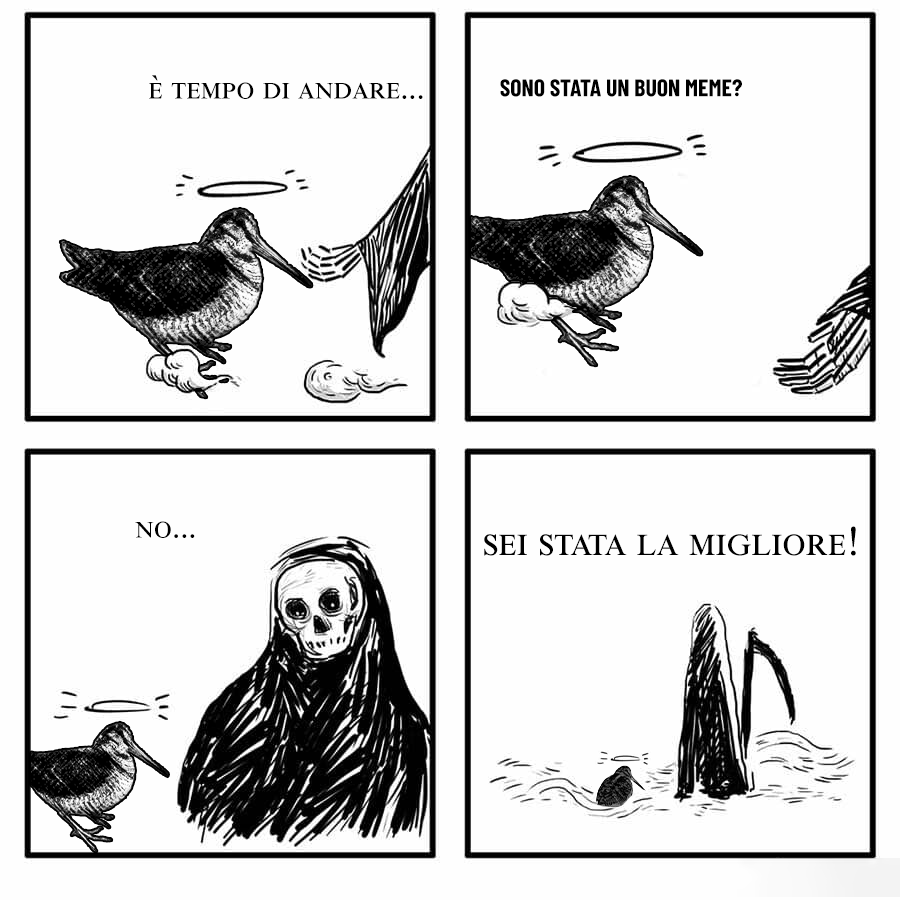 Il Gatto di Aramcödinger⭐⭐ tweet media