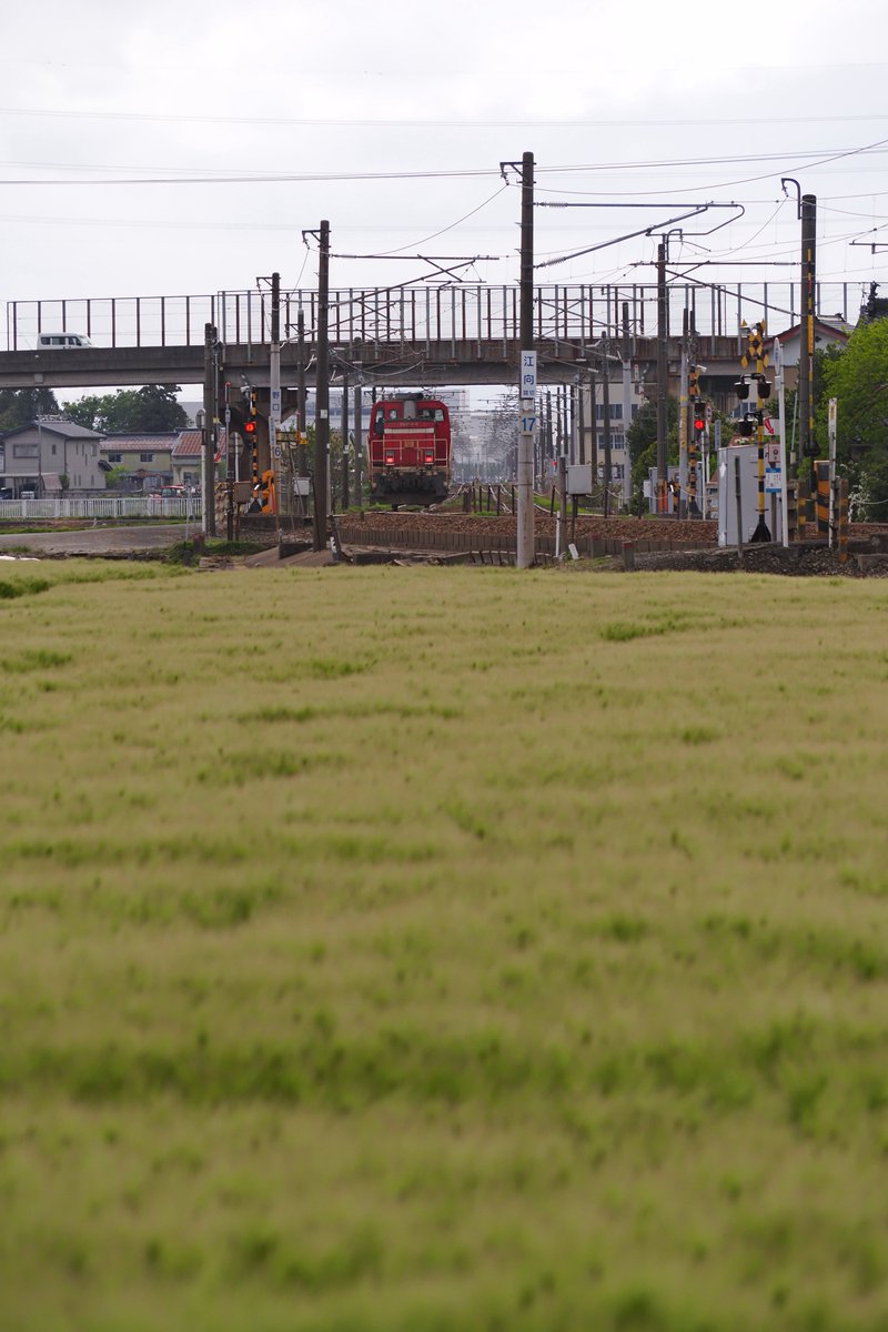 でぃ〜える tweet media