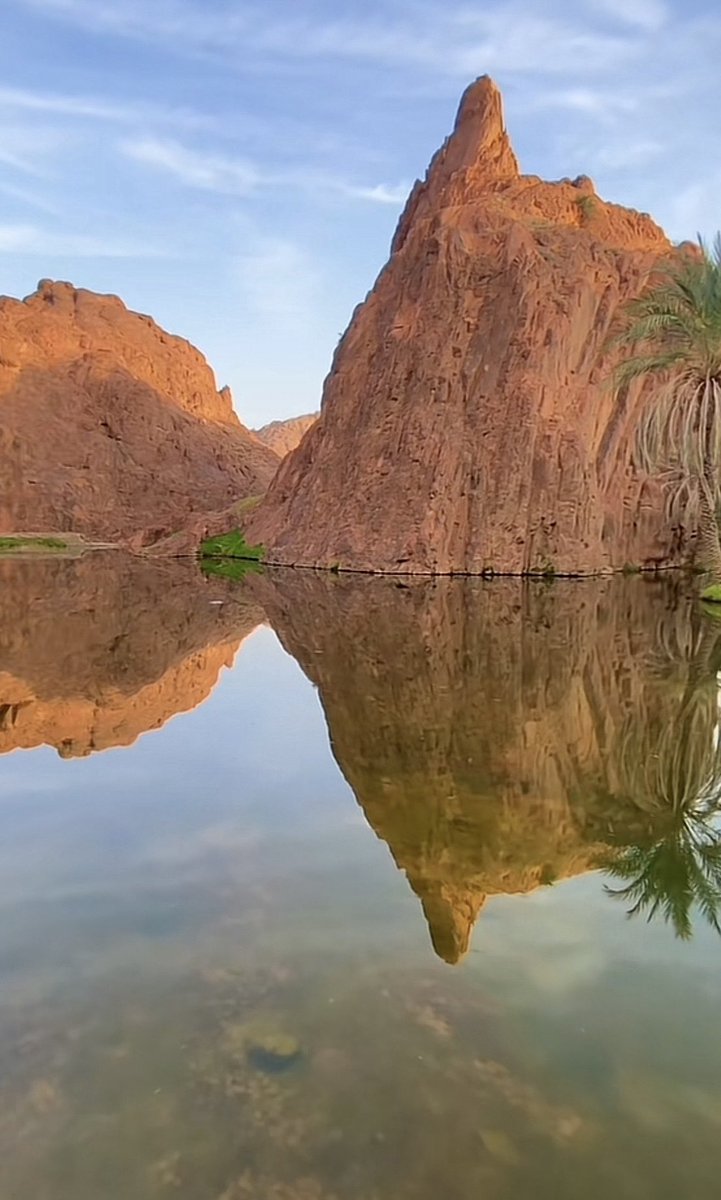 ناصر بن صالح العقيِّل tweet media