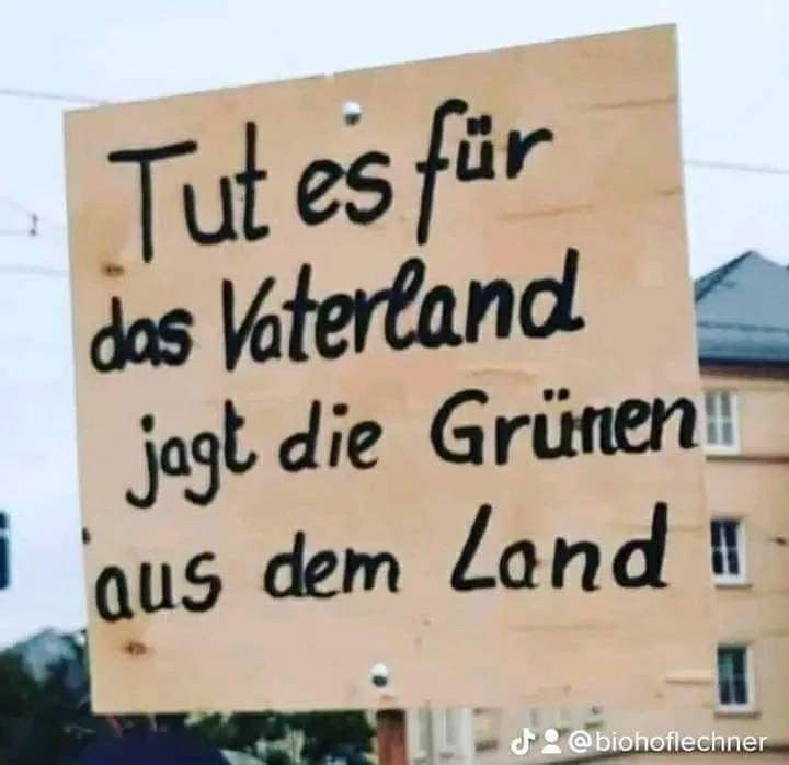 elke tweet media