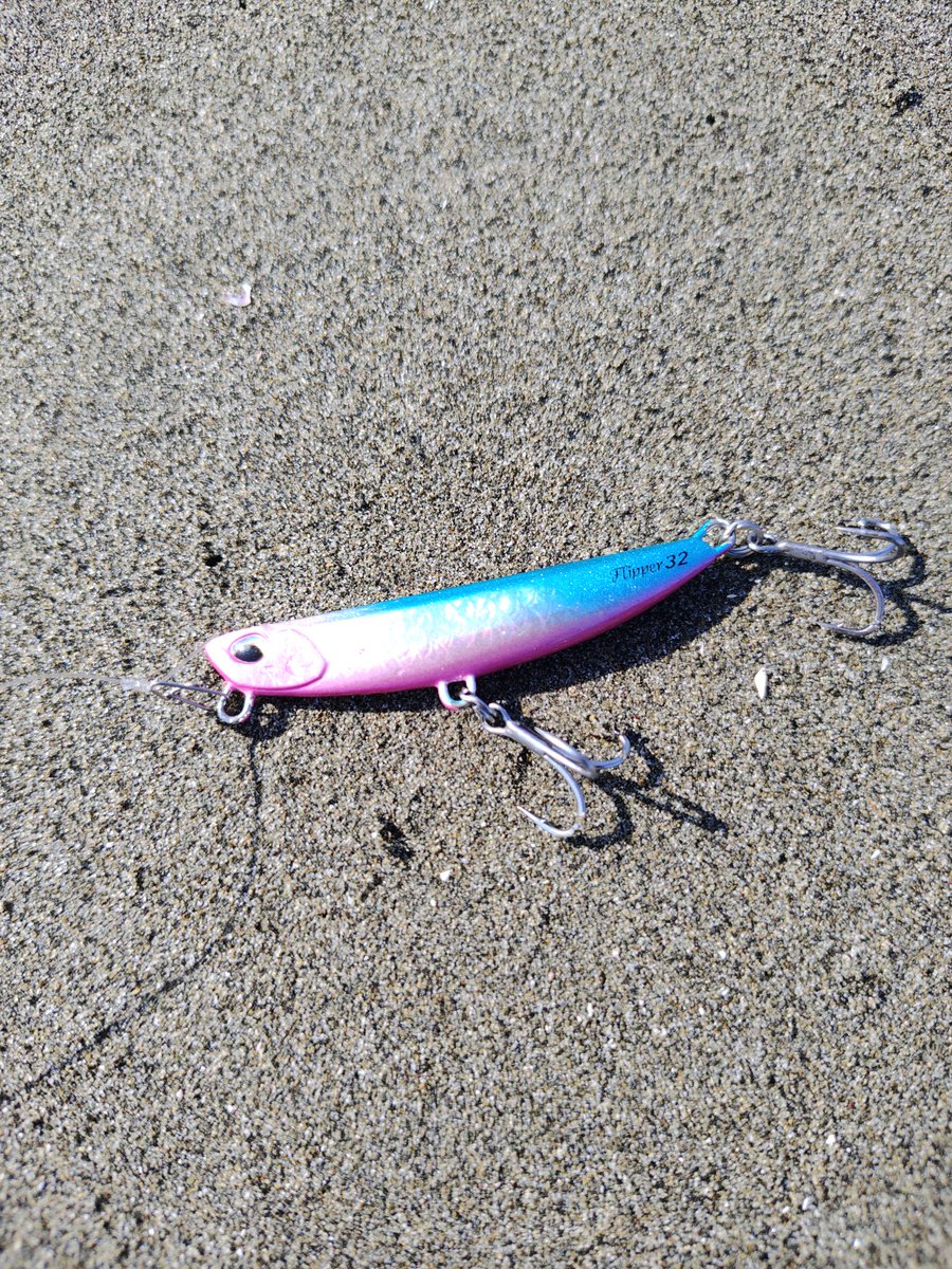 terastation515's tweet photo. in三重サーフ！☀

フリッパーの新色にマゴチがヒット！🐟️

・ヒットルアーは
【DUO】フリッパー32
  　(UVピンクシャイニーブルーGB)

#DUOinternational
#DUOサポーター
#フリッパー32
#三重サーフ
#PR https://t.co/Q78YP87EJa