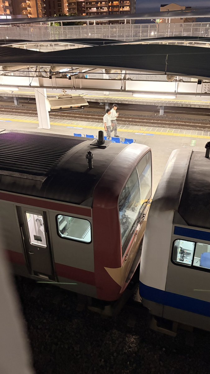 Natorimin's tweet photo. なんだかんだ延命してるけどいつまで見れるかな https://t.co/HPzLEphogu