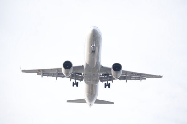 errai2001's tweet photo. 全日本空輸
Airbus A321✈️  
羽田国際空港 

#AirbusA321 #全日本空輸 #ANA #全日空 
#飛行機写真 #airplane #飛行機のある風景 #飛行機 #羽田空港 #飛行機が好き #羽田国際空港 #カメラ好きな人と繫がりたい #写真好きな人と繫がりたい #写真撮っている人と繋がりたい #ファインダー越し私の世界 

🍷 https://t.co/u9ZQ0p2gze